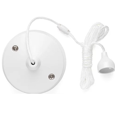 Verso 10AX 2W CEILING SWITCH